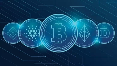 درگاه پرداخت ارز دیجیتال برای سایت