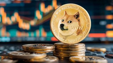 دوجکوین در مسیر شکوفایی! بررسی نقش کاربران جدید در تقویت قیمت DOGE