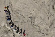 ردپاهای ۱٫۵ میلیون ساله در کنیا از همزیستی انسان‌تباران باستانی خبر می‌دهند