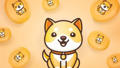 رشد ناگهانی قیمت بیبی دوج؛ عامل اصلی ایلان ماسک بود!