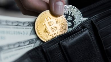 روند افزایشی کیفپولهای میگو؛ آیا مرز ۱۰۰ هزار دلار تنها آغاز راه است؟