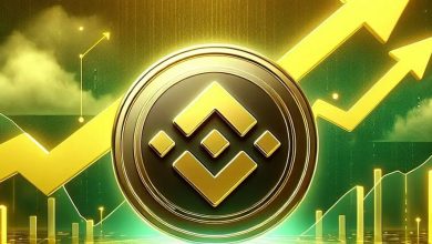 رکورد تاریخی بایننسکوین شکسته شد؛ خیز قیمت BNB برای صعود تا ۸۰۰ دلار!