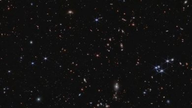 رکوردشکنی جیمز وب: کشف قدیمیترین کهکشانهای جهان در ۲۰۰ میلیون سال پس از بیگبنگ