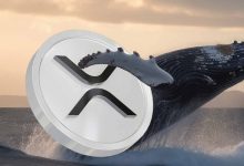 ریپل در کانون توجه بازار؛ نهنگ‌ها هم با خرید ۱۸۰ میلیون دلاری به میدان آمدند!