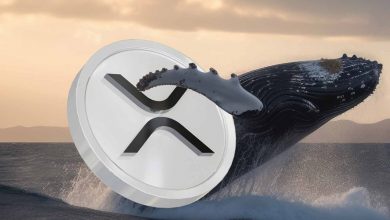 ریپل در کانون توجه بازار؛ نهنگها هم با خرید ۱۸۰ میلیون دلاری به میدان آمدند!