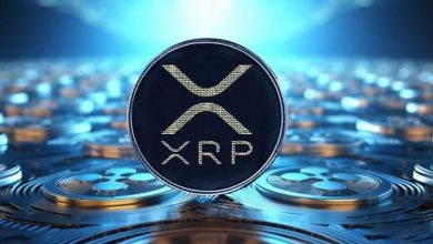 ریپل سلطنت سولانا را به چالش میکشد؛ میمکوینهای XRPL در حال تسخیر بازار!