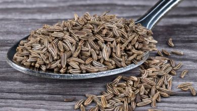 زیره سیاه چه خواصی دارد؟