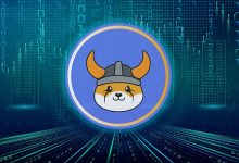 سرمایه‌گذاران سازمانی فلوکی را هدف قرار داده‌اند؛ FLOKI در راه بازار بورس!