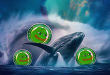 سرمایه‌گذاری ۲۱ میلیون دلاری یک نهنگ کریپتو؛ پپه، فانتوم و ائرودرام در کانون توجه!