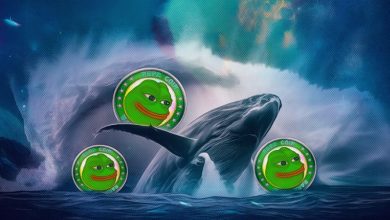 سرمایهگذاری ۲۱ میلیون دلاری یک نهنگ کریپتو؛ پپه، فانتوم و ائرودرام در کانون توجه!