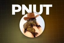 سنجاب معروف دوباره خبرساز شد؛ از دعوی حقوقی علیه بایننس تا تکلیف نامعلوم PNUT!