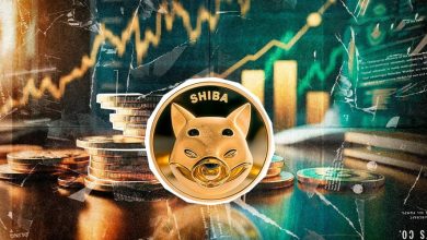 شیبا سیگنال خرید جدید صادر کرد؛ آماده صعود ۲۵ درصدی قیمت SHIB باشید!