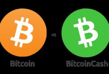 صرافی نیپوتو از تفاوت بین بیت‌کوین و بیت‌کوین کش می‌گوید