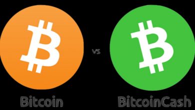 صرافی نیپوتو از تفاوت بین بیتکوین و بیتکوین کش میگوید