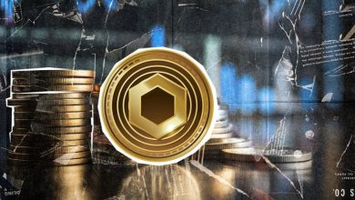 عصر جدید میمکوینها با چینلینک؛ اتصال توکنهای میم محبوب به ۱۲ بلاکچین!