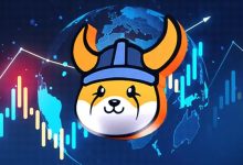 فلوکی در آستانه تاریخسازی؛ تحلیلگر معروف از رشد ۱۱ برابری FLOKI خبر میدهد!