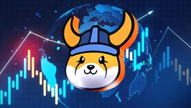 فلوکی در آستانه تاریخسازی؛ تحلیلگر معروف از رشد ۱۱ برابری FLOKI خبر میدهد!