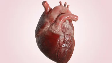 قلب چگونه میتواند خارج از بدن بتپد؟