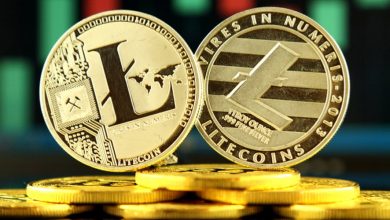 لایتکوین در مسیر ریپل؟ پیشبینیها از صعود LTC به ۴۲۰ دلار میگویند!