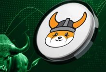 موفقیت بزرگ فلوکی در بازار نزولی؛ تریدر خوش‌شانس ۲ میلیون دلار سود کرد!