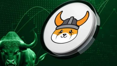 موفقیت بزرگ فلوکی در بازار نزولی؛ تریدر خوششانس ۲ میلیون دلار سود کرد!