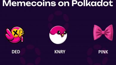 میم کوینهای شبکه پولکادات که باید زیر نظر داشته باشید