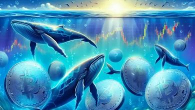 نهنگها در هفته اول دسامبر کدام رمزارزها را بلعیدند؟