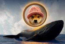 نهنگ‌های سگ کلاهدار در حال برداشت سود! بازگشت قیمت WIF به اوج تاریخی ممکن است؟