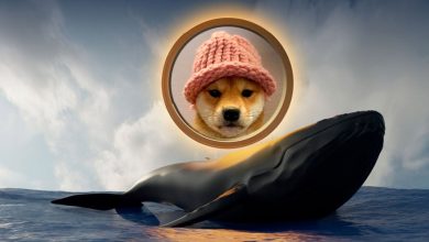 نهنگهای سگ کلاهدار در حال برداشت سود! بازگشت قیمت WIF به اوج تاریخی ممکن است؟