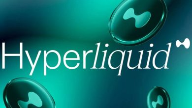 هایپرلیکویید قابلیت استیکینگ را فعال کرد! آیا توکن HYPE آماده رکوردشکنی است؟