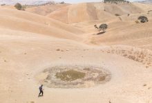 هشدار سازمان ملل: سهچهارم از سطح زمین در معرض خشکی شدید قرار دارد