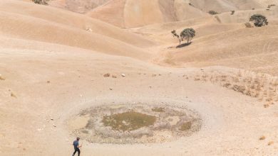 هشدار سازمان ملل: سهچهارم از سطح زمین در معرض خشکی شدید قرار دارد