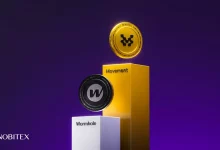 ورم‌هول و موومنت در نوبیتکس لیست شد