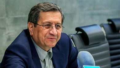 وزیر اقتصاد ایران: از رمزارزها استقبال میکنیم + ویدئو