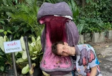 «ویتالیک بوترین» با پرداخت 88 اتریوم سرپرستی اسب آبی معروف را به عهده گرفت