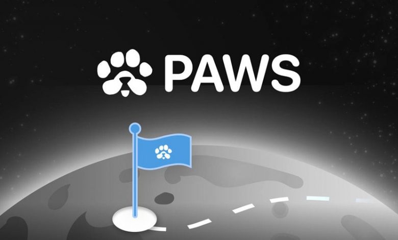 پاز آماده ورود به بازار! جزییات جدید درباره ایردراپ و قیمت اولیه توکن PAWS