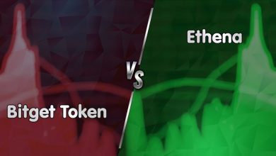 پرسودترین و پرضررترین رمزارزهای امروز (۲۵ آذر ۱۴۰۳)