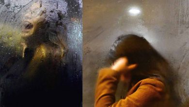 پشت پنجرههای بخارگرفته؛ شاهکار عکاسی از دل اتوبوسهای لندن