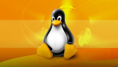 چطور یک وب سرور محلی لینوکس را در ویندوز اجرا کنیم؟