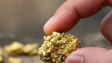 چین بزرگترین ذخیره طلای جهان به ارزش ۸۳ میلیارد دلار را کشف کرده است