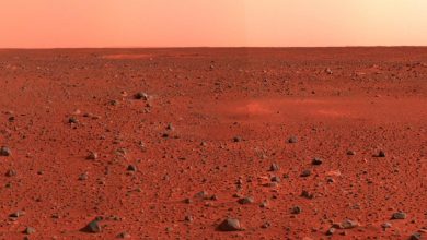 یافته محققان دانشگاه خوارزمی: خانههای مریخی را میتوان با خون انسان ساخت