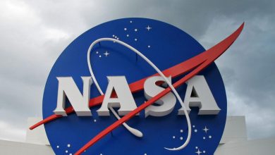 NGC 300: یک کهکشان پر از ستارهها