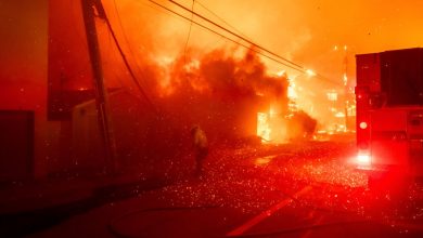 آتشسوزی گسترده لسآنجلس؛ یوتیوب به کمک کاربرانش میرود