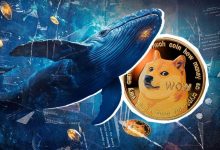 آغاز صعود دوجکوین با حمایت نهنگها؛ آیا زمان جهش بزرگ فرا رسیده است؟