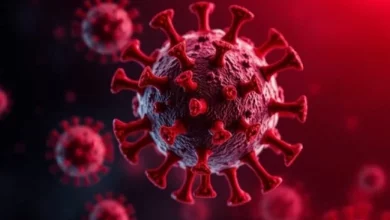 آیا ویروس جدیدی از چین جهان را بار دیگر به خاموشی می‌برد؟ همه‌چیز درباره ویروس HMPV