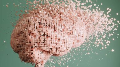 آیا یک روز میتوانیم خاطرات را از مغز مرده بازیابی کنیم؟