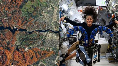 از زمین تا کهکشان: برترین تصاویر ناسا در سال ۲۰۲۴