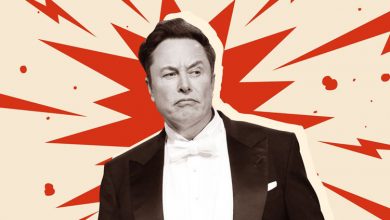 استخدام بازیکنان حرفه‌ای ویدئوگیم‌ها توسط ایلان ماسک