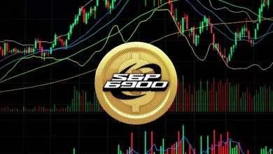 اسپیایکس به دهمین میمکوین بزرگ بازار تبدیل شد! صعود قیمت SPX ادامهدار است؟