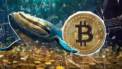 انباشت سنگین نهنگها زیر ۹۵ هزار دلار! بیتکوین در آستانه صعودی دوباره؟